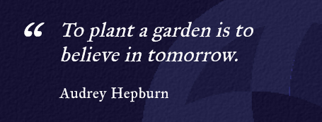 Quote - To plant a garden is to believe in tomorrow. - Audrey Hepburn
